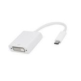 Type C To Dvi 24+5 Cevirici Donusturucu Adaptor
