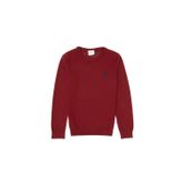U.S. Polo Assn. Erkek Çocuk Bordo Bisiklet Yaka Basic Kazak 50307845-VR014