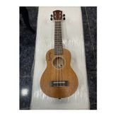 Ukulele kılıf ve pena hediyeli (concert)