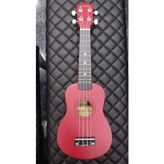 UKULELE (kılıflı)