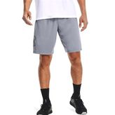 Under Armour UA Tech Graphic W76 Gri Erkek Şort