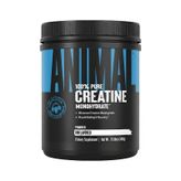 Universal Animal Creatine Monohydrate 300 Gr Standart