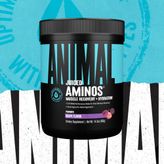 Universal Animal Juiced Aminos Bcaa + Recovery