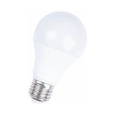 Uzlight 10 W E27 Led Ampul