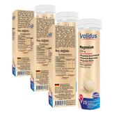 Validus Magnesium Complex Bisglycinate Taurat Malat 15 Effervescent Tablet (3 paketi)