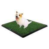 Vanch Köpek Tuvalet Eğitim Seti