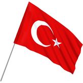 Vatan 231 Sopalı Ponje Bayrak 30X45