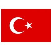 Vatan 600x900 Bayrak