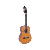 VC203 Klasik Gitar - Çok Renkli
