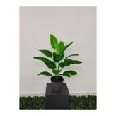 VEAL STORE 70 CM 18 DALLI YAPAY SALON KÖŞE BİTKİLERİ PALMİYE MONSTERA