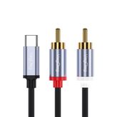 Veggieg 3 mt USB Type-C to 2 RCA Ses Kablosu