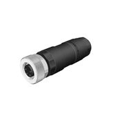 VELLEDQ M8-F04T M8 4 PİN DİŞİ DÜZ KONNEKTÖR, SENSÖR SOKETİ