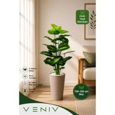 VENİV 150-160 Cm Büyük Boy Yapay Difenbahya Bitkisi Saksılı Dekoratif Salon Bitkisi