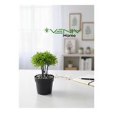 VENİV HOME Dekoratif Saksılı Bitki- Gerçekçi Yapay Bitki 20 cm