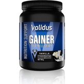Vera Concept Store True Mass Gainer (Vanilya) 700 G