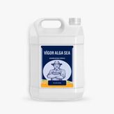 Vigor Alga Sea (Azotlu Sıvı Organomineral Gübre) 5 Lt