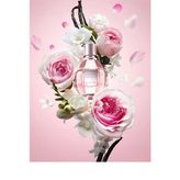 Viktor & Rolf Flowerbomb Edp 50 Ml Kadın Parfüm