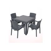 Violet Rattan Camlı Masa Takımı
