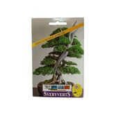 Vipfoni Ardıçlı Bonsai Çiçeği Tohumu