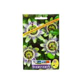 Vipfoni Passiflora Çarkıfelek Çiçeği Tohumu