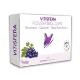 Vitisfera Resveratrol Caps 20 Kapsül