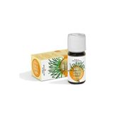 Vivasan Limonlu Melisa Yağı 10 ml