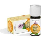 Vivasan Nane Yagı 10ML