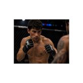 Voltrike CYC MMA UFC Dövüş Eldiveni