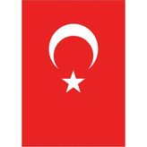 VT213 Ülke Bayrağı 30X45