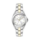 WAINER WA.18010-H Kadın Kol Saati