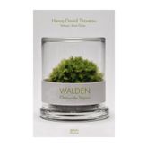 Walden - Ormanda Yaşam - Henry David Thoreau
