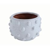 Warm Design Noktalı Terracotta Saksı