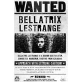 Warner Bros Harry Potter Wanted Duvar Posteri Bellatrix Lestrange 50X70 cm - 15 x 21 cm