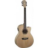 Washburn AG40CE Apprentice Serisi Elektro Akustik Gitar
