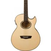 Washburn EA20 Elektro Akustik Gitar
