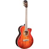 Washburn EA55G Festival Elektro Akustik Gitar