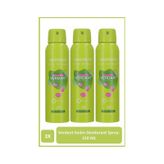 Watsons Verdant Kadın Sprey Deodorant 3 x 150 ML