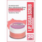 Well Dudak Peelingi 20G, T976