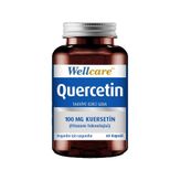 Wellcare Quercetin 100 mg 60 Kapsül