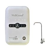 WellGreen 15 Su Arıtma Sistemi