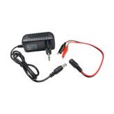 Wellpower WP-1202PA 12.6Volt 2Amper Akü Şarj Adaptörü