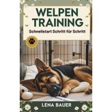 Welpen Training: Schnellstart Schritt für Schritt