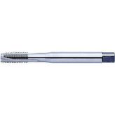 Werkö DIN-376/C HSS M5 Makine Kılavuzu