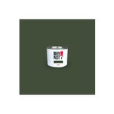 WHY NOT Dark Green - Yeşil Duvar Boyası