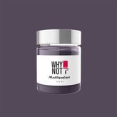 Whynot Cosmos Multisurface Kendinden Vernikli Akrilik Boya - 250 ml