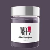 Whynot Cosmos Multisurface Kendinden Vernikli Akrilik Boya 500 Ml