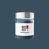 Whynot Endless Multisurface Kendinden Vernikli Akrilik Boya - 250 ml