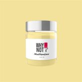 Whynot Limelight Multisurface Kendinden Vernikli Akrilik Boya - 250 ml