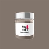 Whynot Lungo Multisurface Kendinden Vernikli Akrilik Boya - 250 ml