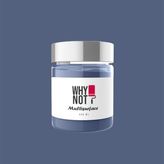 Whynot Orion Multisurface Kendinden Vernikli Akrilik Boya - 250 ml